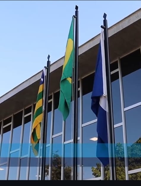 Bandeira Diversa